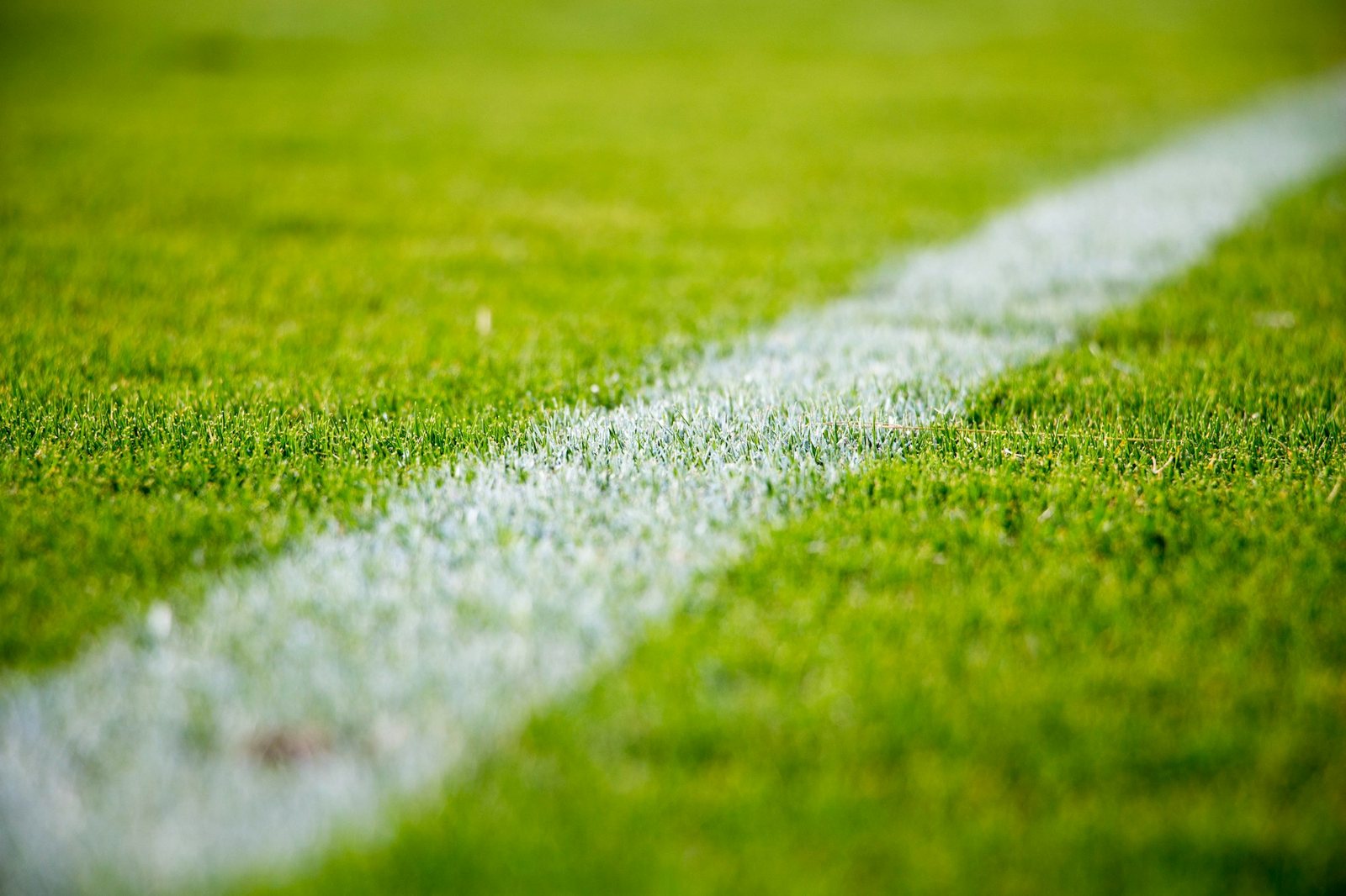 サッカー場の芝と白線を、地面に近い高さから写したイメージ写真